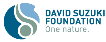 David Suzuki Foundation