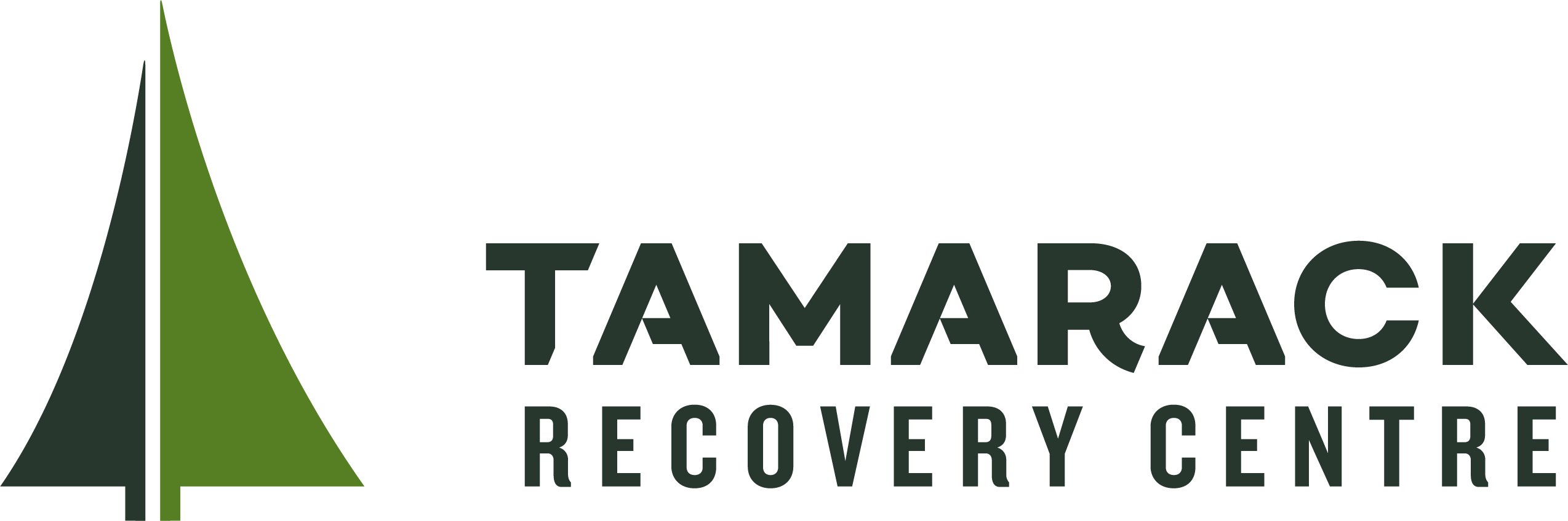 Tamarack Rehab Inc