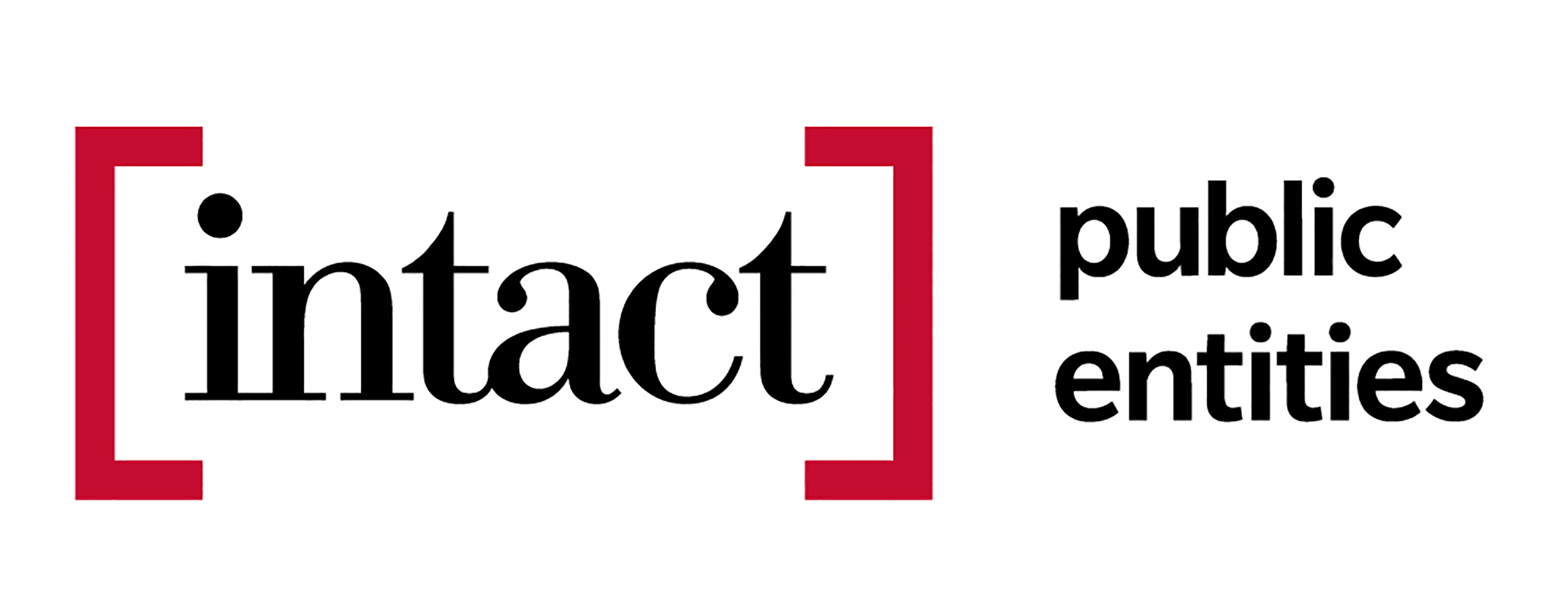 logo Intact Public Entities