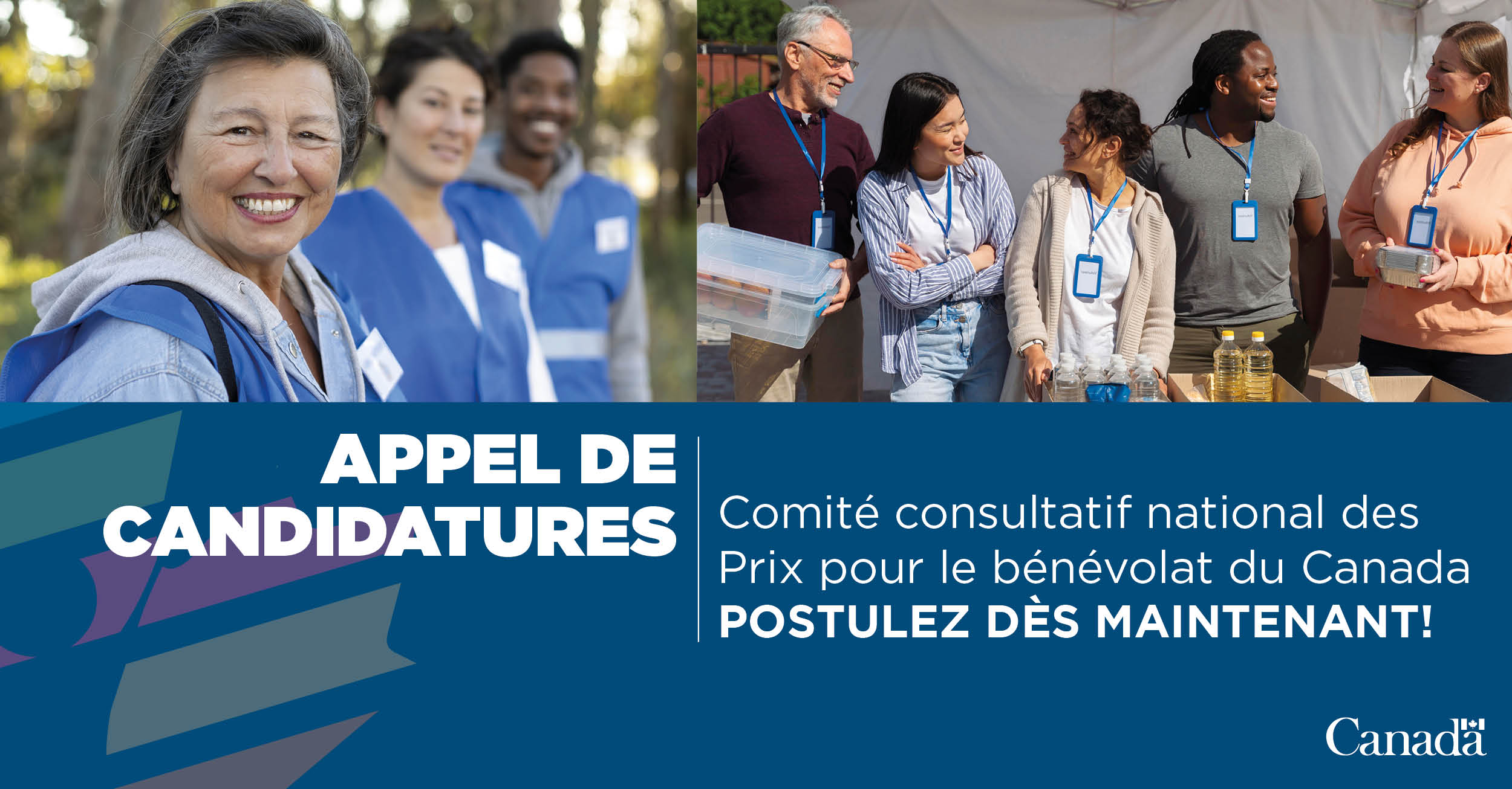 Comité consultatif national des Prix pour le bénévolat du Canada