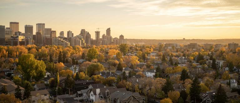 une vue d'une ville avec beaucoup d'arbres au premier plan