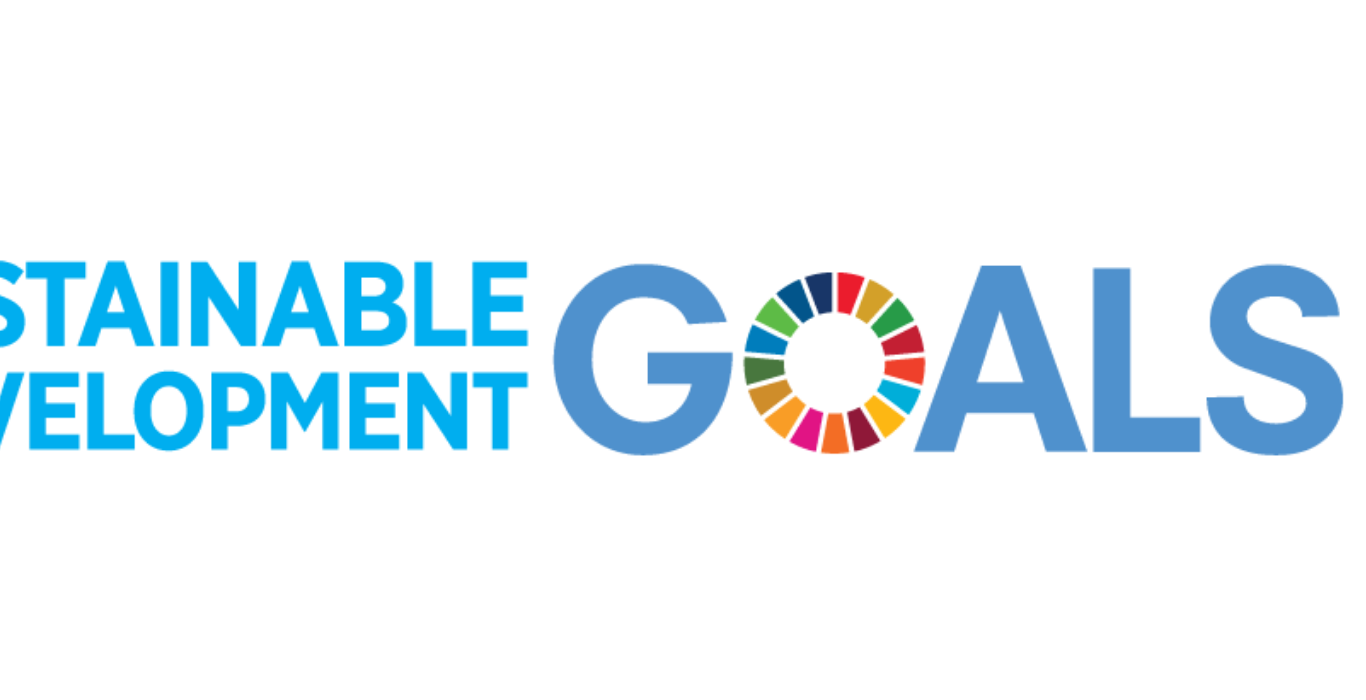 Sustainable Development Goals UN Logo
