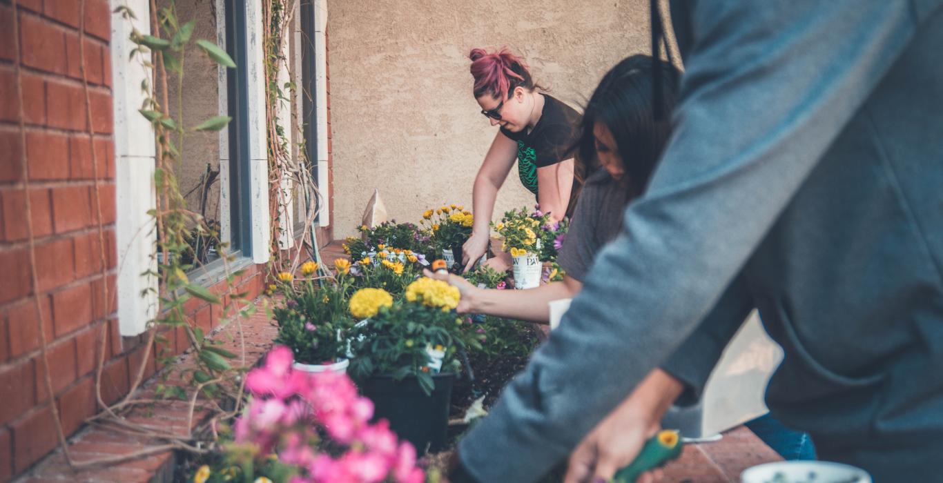 People gardening