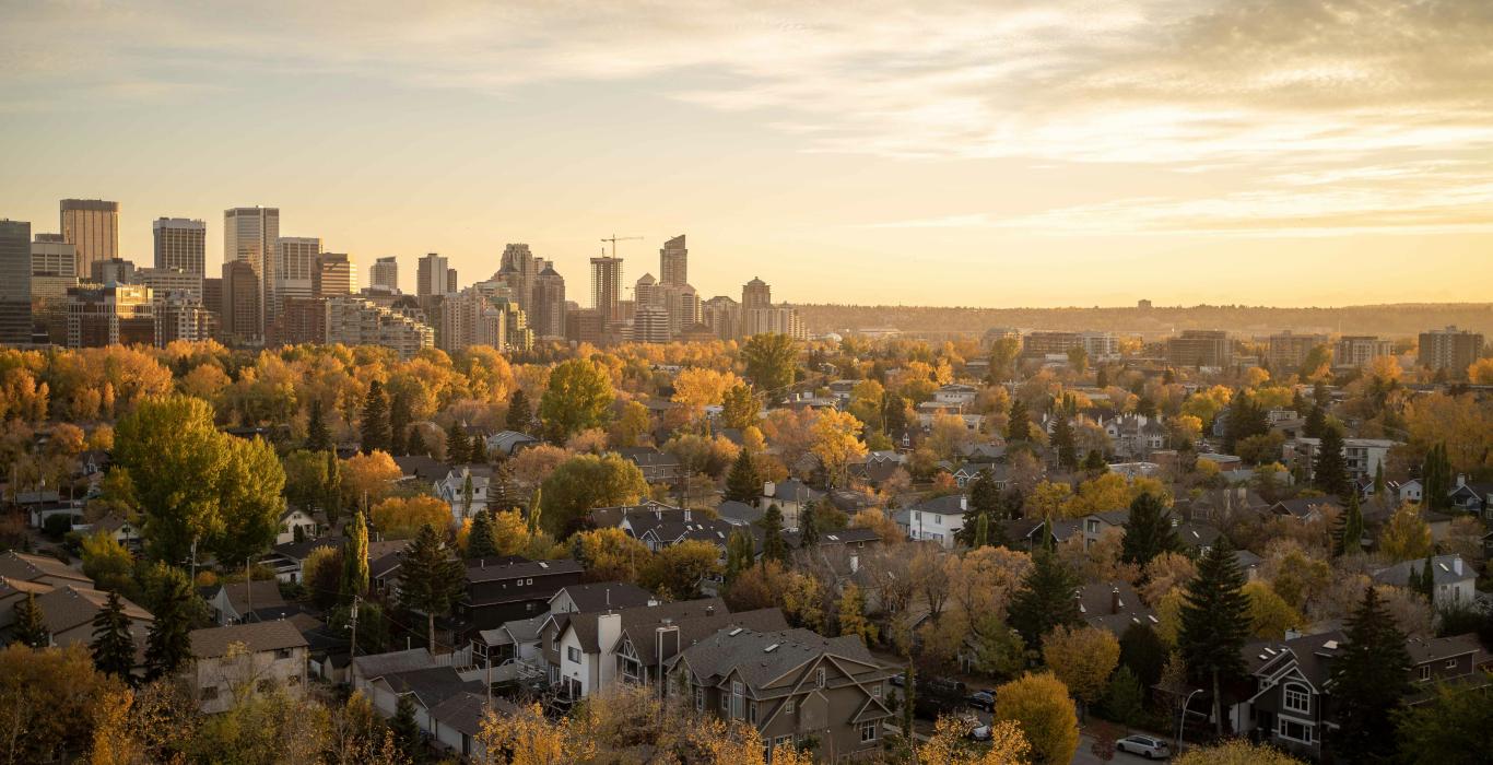 a view of a city with lots of trees in the foreground
