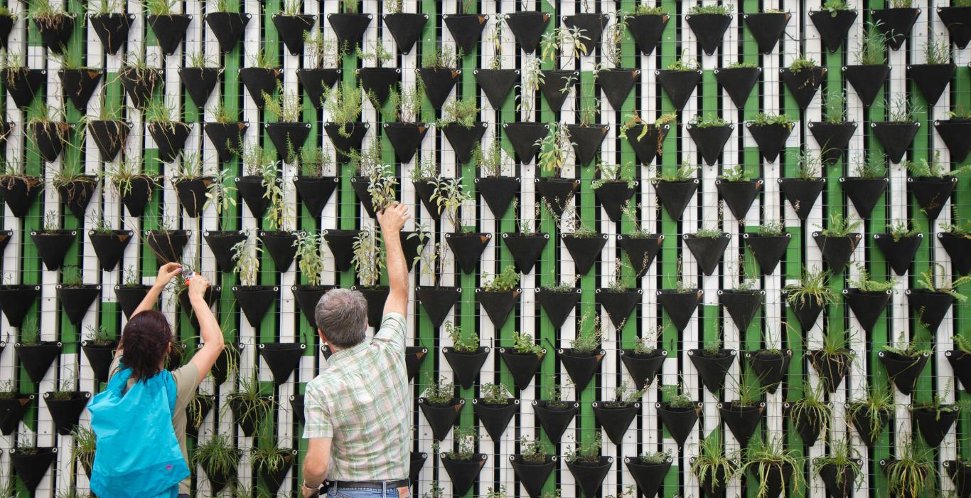 Two people are tending to a large vertical garden wall filled with rows of triangular planters.