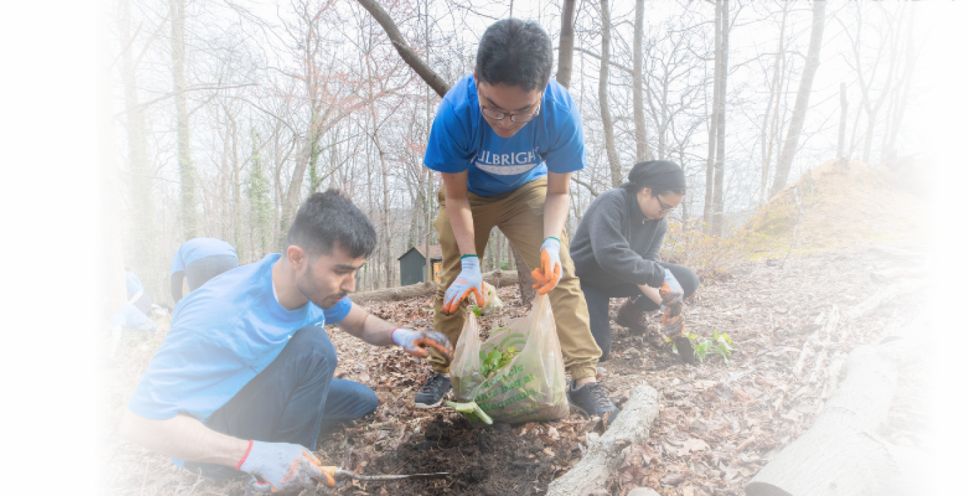 A group of volunteers planting trees in a forested area as part of an environmental conservation project