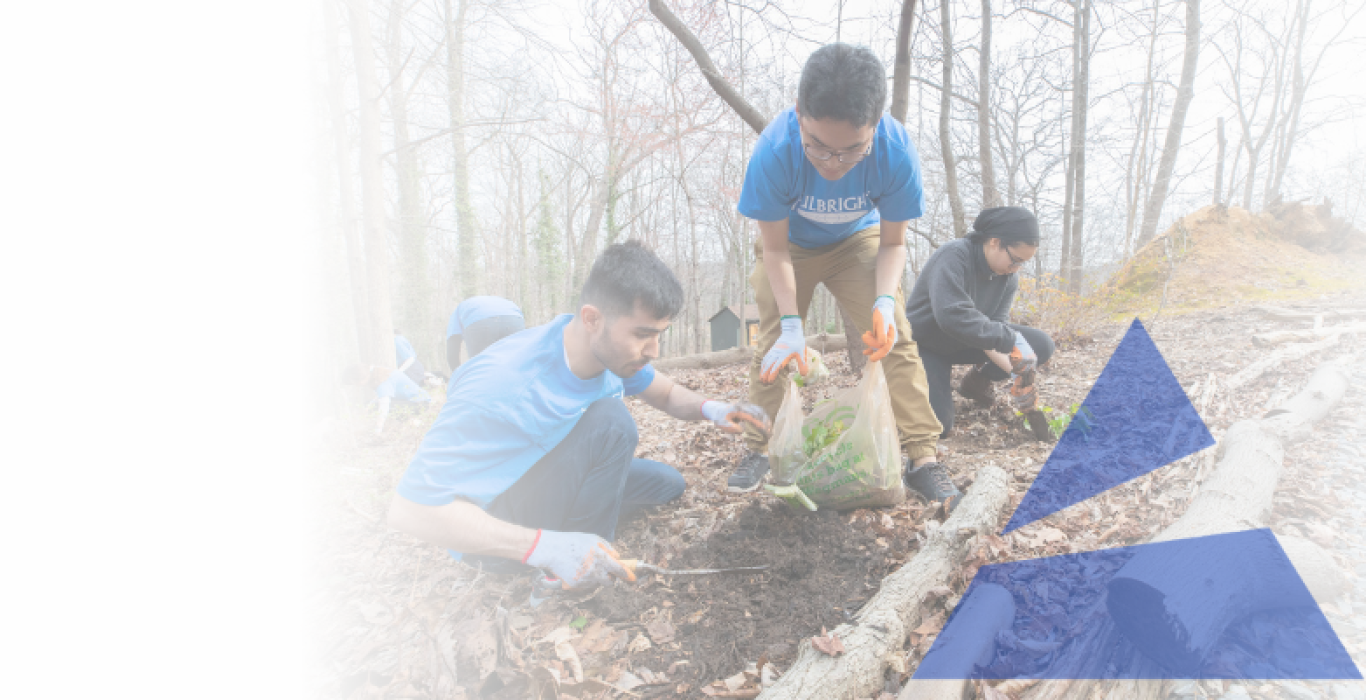 A group of volunteers planting trees in a forested area as part of an environmental conservation project