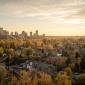 une vue d'une ville avec beaucoup d'arbres au premier plan