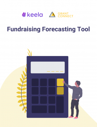 Fundraising Forecasting Tool image